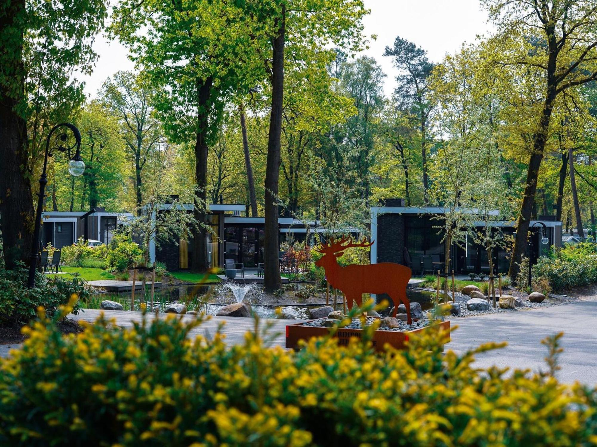 Comfortable Chalet With Combination Microwave Near The Veluwe Hoenderloo Exteriör bild