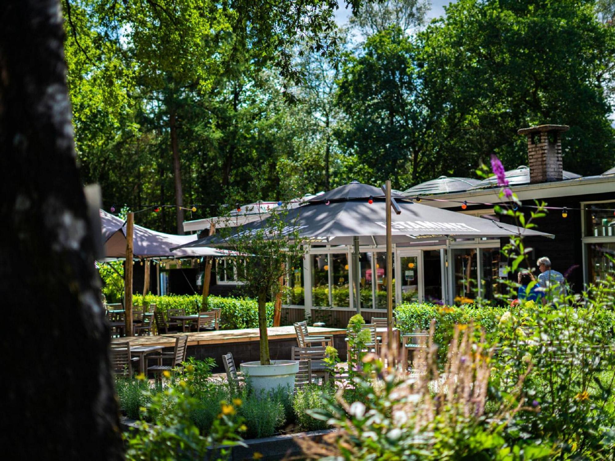 Comfortable Chalet With Combination Microwave Near The Veluwe Hoenderloo Exteriör bild